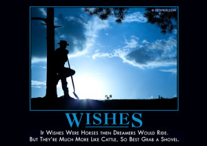 If wishes were horses then dreamers would ride. But they're much more ...