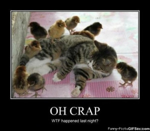 More Funny Pictures: