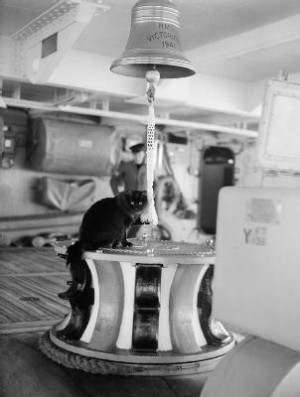 Tiddles – Parnall, C H (Lt), Royal Navy Official Photographer ...