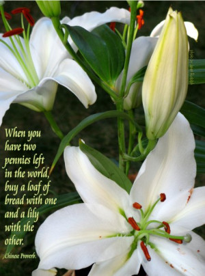 ... in the world, buy a loaf of bread with one, and a lily with the other