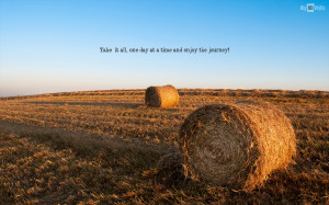 Harvest Season Quotes
