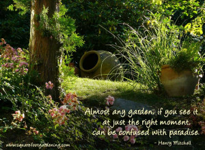 Almost any garden, if you see it at just the right moment, can be ...