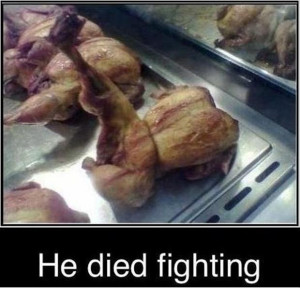 Return to Funny Pictures (30 Pics)