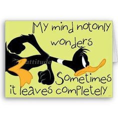 quotes visit roflburgercom mindfulness funny daffy ducks funny quotes ...
