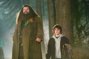 Still of Robbie Coltrane and Daniel Radcliffe in Harry Potter and the ...