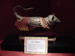 Cat armor! How much do you love your cat?
