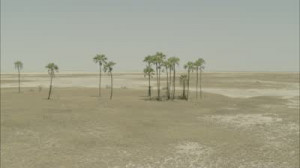 footage-desert-oasis-sand-arid-humid-a-spanning-view-of-a-desert-oasis ...