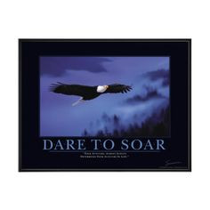 ... quotes lb quotes eagles products eagles quotes bald eagles soar quotes