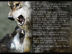 Cherokee Indian Wolves Parable. Actually very much how I see it.