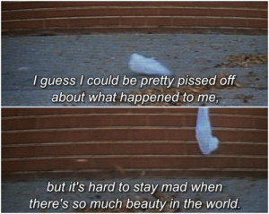 american beauty quotes plastic bag