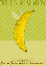 Time flies like an arrow, but fruit flies like a banana.