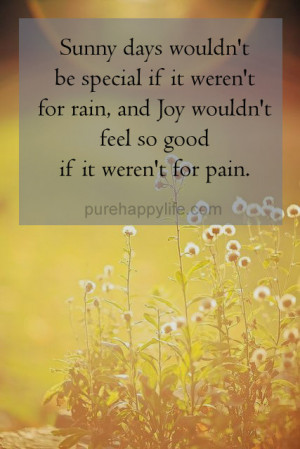 Sunny days wouldn’t be special if it weren’t for rain, and Joy ...