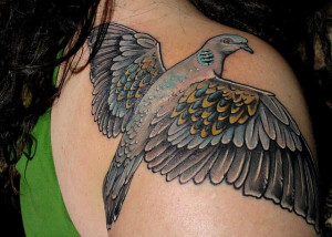 Realistic Dove Tattoo on the shoulder