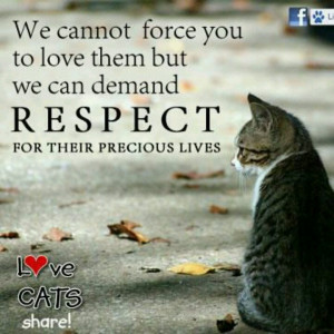 Respect Animals