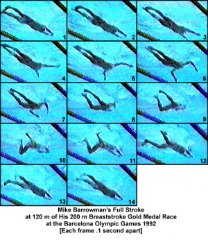 Funny Quotes Contact Us DMCA Notice