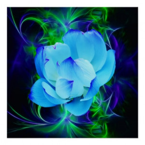 blue_lotus_flower_and_its_meaning_posters ...