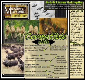 ... +notes+birds+of+a+feather+flock+together+quotes+quote+blogspot.jpg
