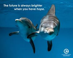 The future is always brighter when you have hope.