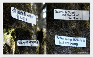 Quotes on trees on the way to Seolsar Lake