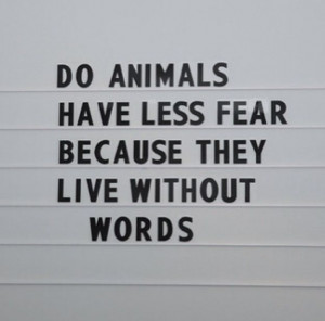 Depression Quotes Pinterest