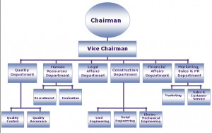 Organizational structure Picture Slideshow