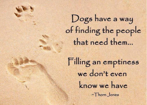 Dogs have a way of finding the people that need them...