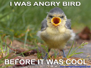 ... he was angry. He also said that before that, he was a cool bird