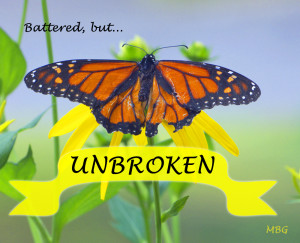 Monarch Butterfly Picture w/ Inspirational Quote