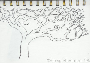 Drawings of Trees Sketches