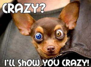 Ill show you crazy