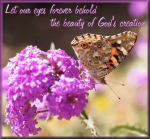 God's Creation Quotes http://www.coolgraphic.org/quotes/beauty-quotes ...