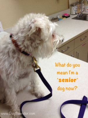 Wordless Wednesday – we all get old