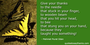 ... giving thanks quotes give your thanks to the needle that stuck in your