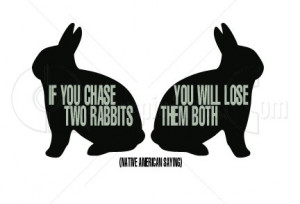 You cannot chase two rabbits at the same time