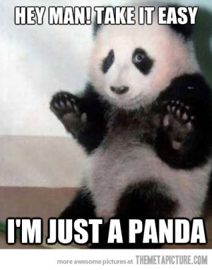 Funny photos funny Panda take it easy