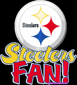 Steelers Fan Tumblr gif