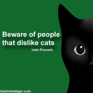 Cats!Beware Of People, Irish Proverbs, 600600 Pixel, Cat People Quotes ...