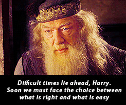 reality happiness right dumbledore easy living choice dumbledore quote ...