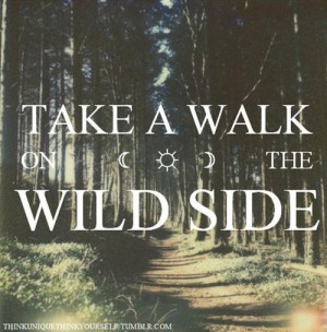 ... tags for this image include: wild, quote, wild side, nature and walk