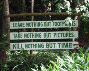 Quotes About Nature & Being Outdoors