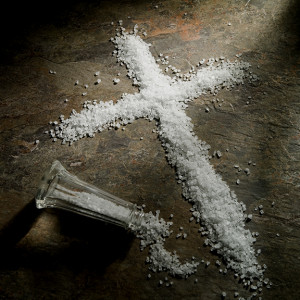 Be the Salt – Rev. William Magee