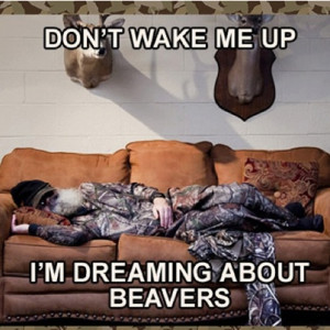dreaming about beavers