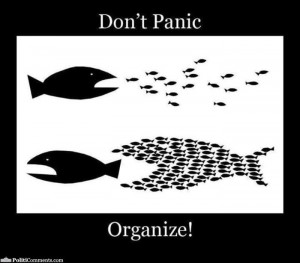 ... little fish, little fish chasing big fish: Don't Panic, Organize