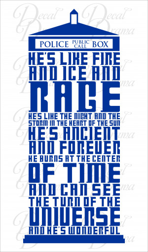 Dr. Who, TARDIS, 10th Doctor, He's Like FIRE and ICE and RAGE, Vinyl ...