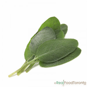 home fresh herbs herbs fresh sage