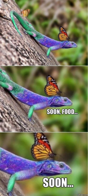 Fabulous Lizard LOL MEME 2015