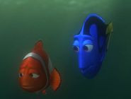 Marlin And Dory Finding Nemo