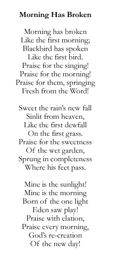 For The Beauty Earth