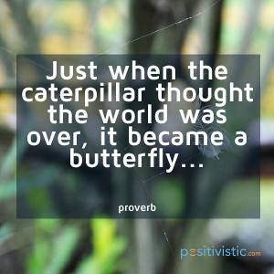 metaphor on change: quote metaphor change caterpillar world butterfly ...