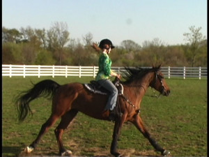 ... All around horse show. at the Forum Contests forum - Horse Forums